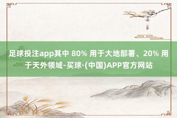 足球投注app其中 80% 用于大地部署、20% 用于天外领域-买球·(中国)APP官方网站