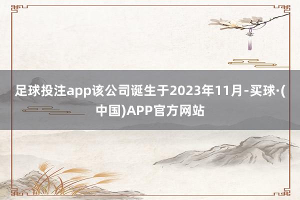 足球投注app该公司诞生于2023年11月-买球·(中国)APP官方网站