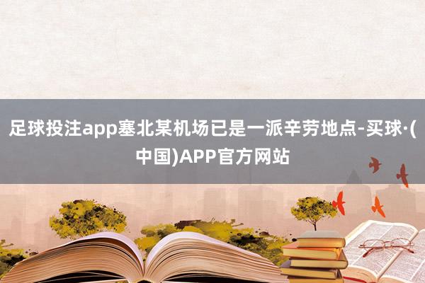 足球投注app塞北某机场已是一派辛劳地点-买球·(中国)APP官方网站