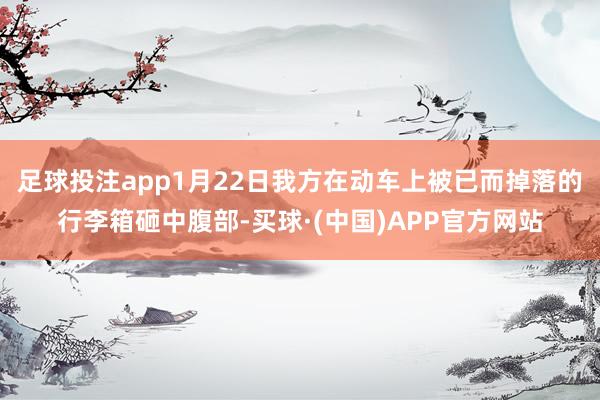足球投注app1月22日我方在动车上被已而掉落的行李箱砸中腹部-买球·(中国)APP官方网站