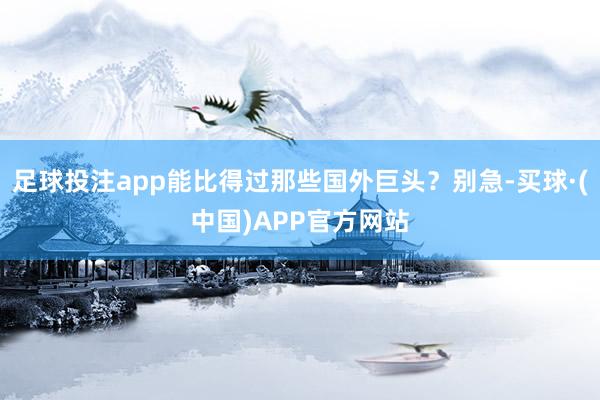 足球投注app能比得过那些国外巨头？别急-买球·(中国)APP官方网站