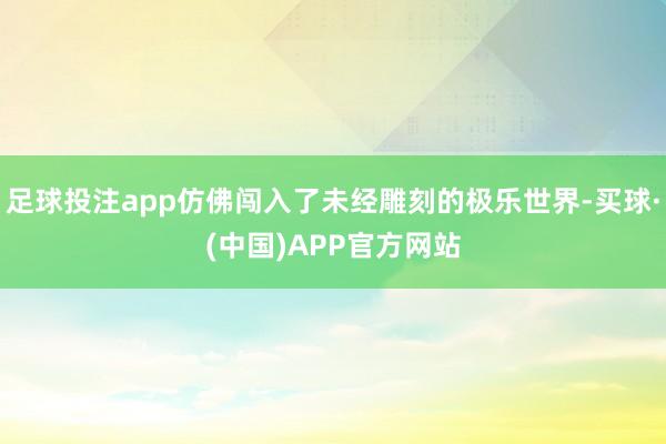 足球投注app仿佛闯入了未经雕刻的极乐世界-买球·(中国)APP官方网站