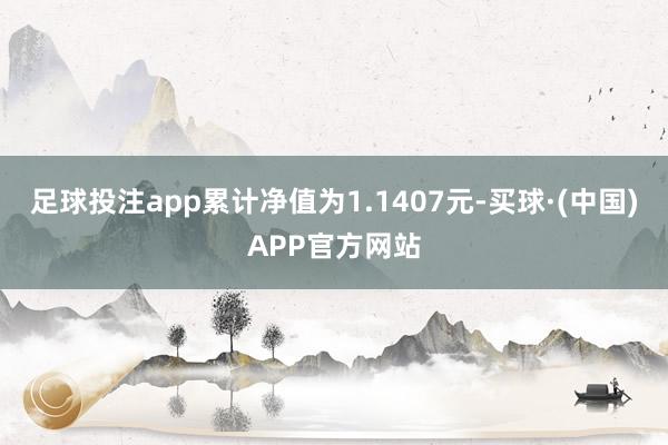 足球投注app累计净值为1.1407元-买球·(中国)APP官方网站