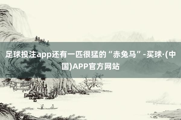 足球投注app还有一匹很猛的“赤兔马”-买球·(中国)APP官方网站