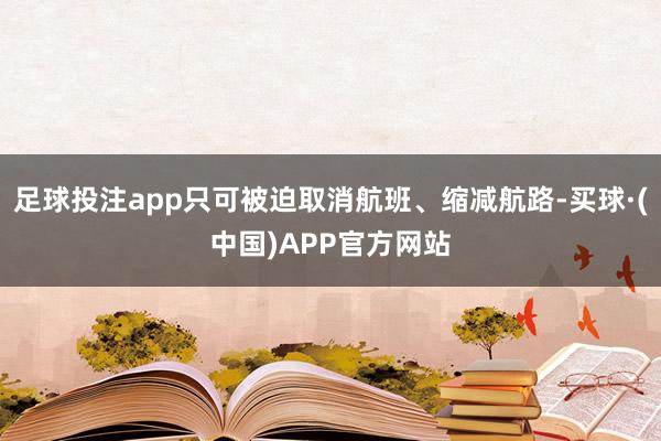 足球投注app只可被迫取消航班、缩减航路-买球·(中国)APP官方网站